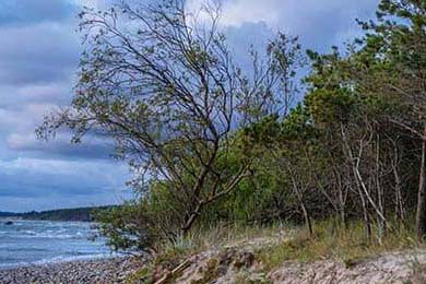 快船胜掘金总比分-晋级西区决赛，快船对掘金比赛