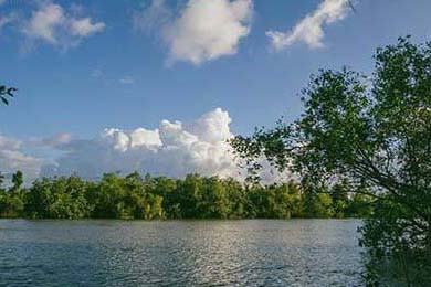 张三归队，球队声势大涨迎战CBA新赛季，张三贴吧