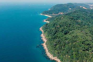 快船胜掘金总比分-晋级西区决赛，快船对掘金比赛