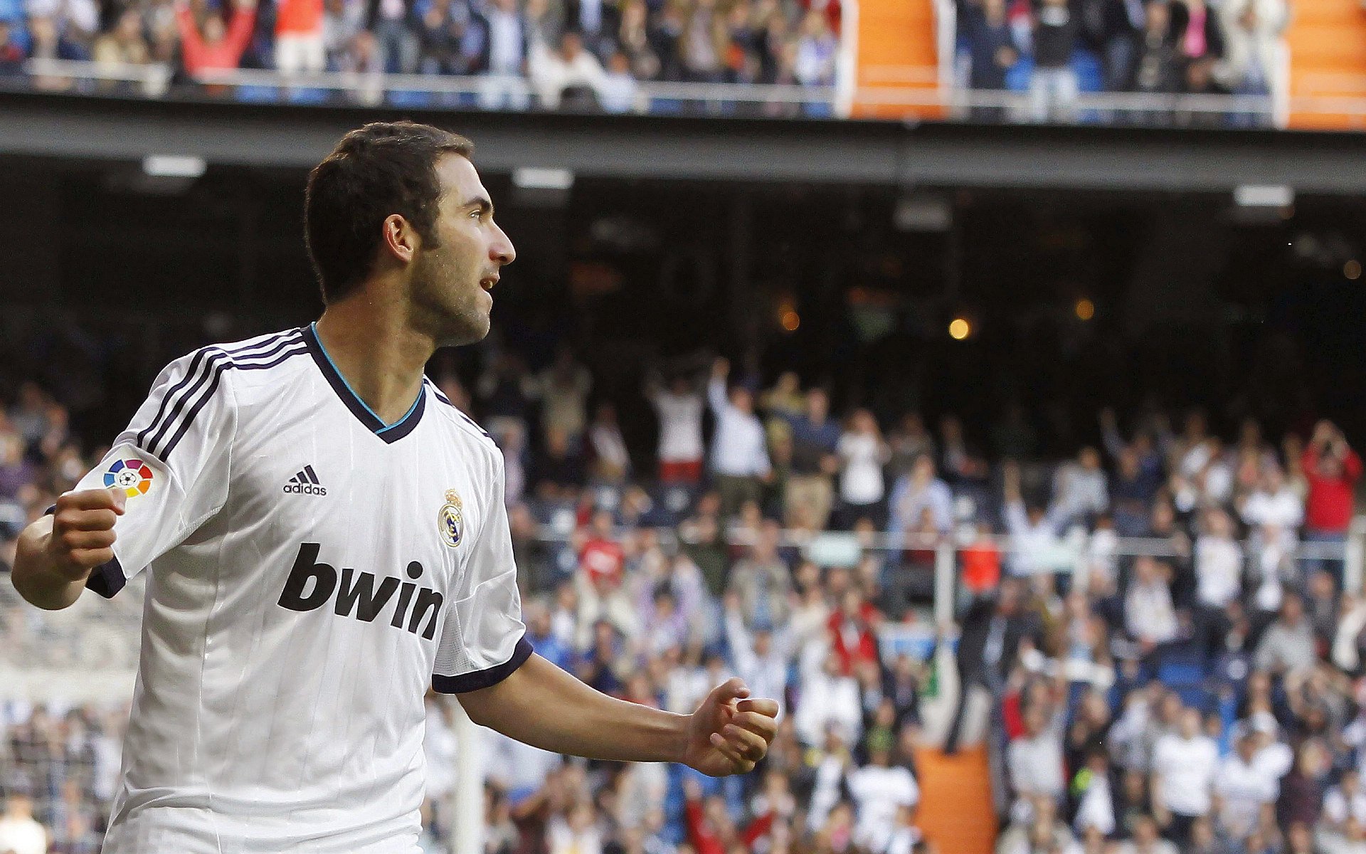 _北极冰川自由潜：探索未知极限_，北极冰川走廊在哪